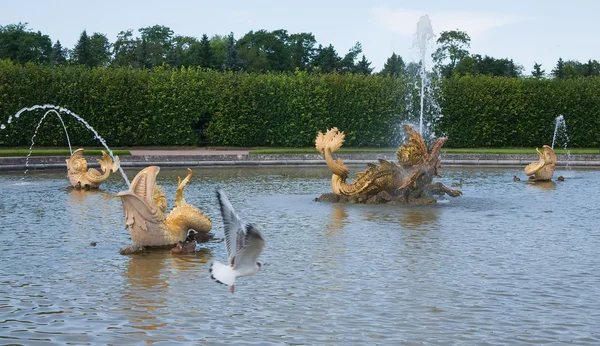 Fountain at Peterhof — Stock Photo, Image