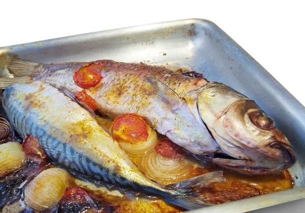 Fechar os peixes grelhados na grelha — Fotografia de Stock