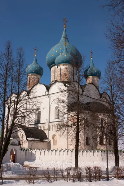 Temple Rozhdestvenskiy (1222-1225) — стокове фото