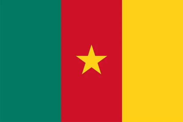 Bandiera del Camerun — Foto Stock