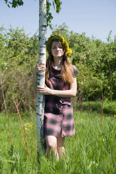 Girl near birch — Stock Photo, Image