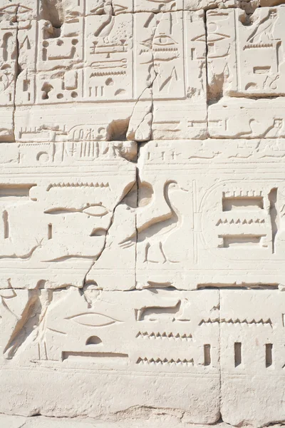 Hieroglyphic relief Stock Image