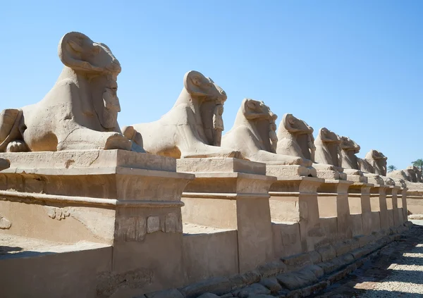 Ram-headed sphinxes at Karnak temple — Stock Photo, Image