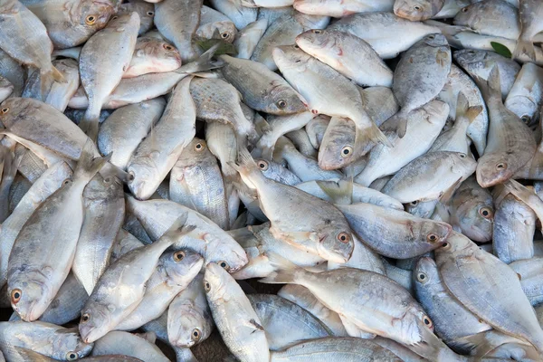 Предпосылки для сырой рыбы — стоковое фото