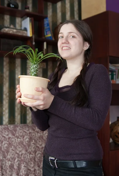 Girl with cactus — Stock Photo, Image