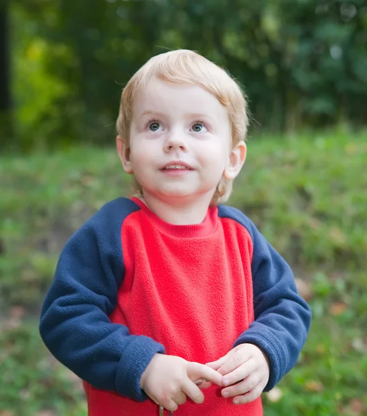 Симпатичный мальчик против парка — стоковое фото