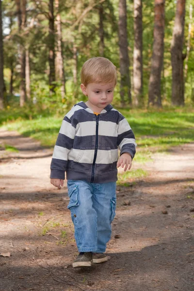 Küçük çocuk orman gider — Stok fotoğraf