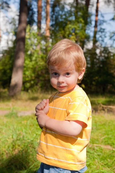 Маленький мальчик в лесу — стоковое фото