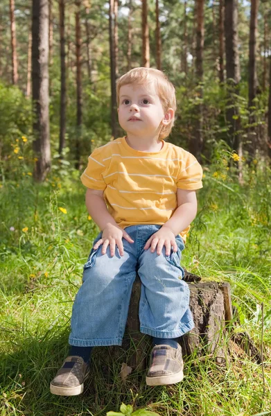 Malý chlapec sedí v lese — Stock fotografie