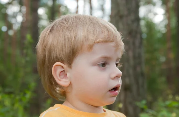 Mały chłopiec — Zdjęcie stockowe