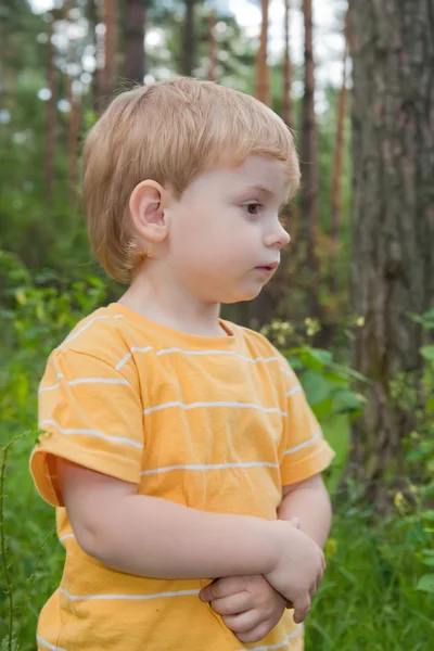 Ormandaki küçük çocuk — Stok fotoğraf