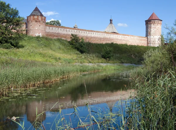 Спасо-Euthimiev монастир фортеця — стокове фото