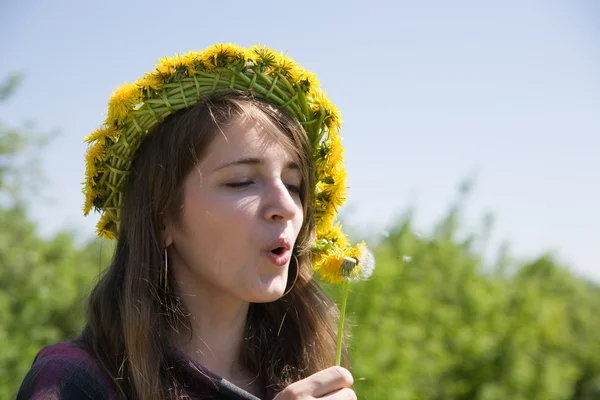 Girl blowing a dandelion — Stock Photo, Image
