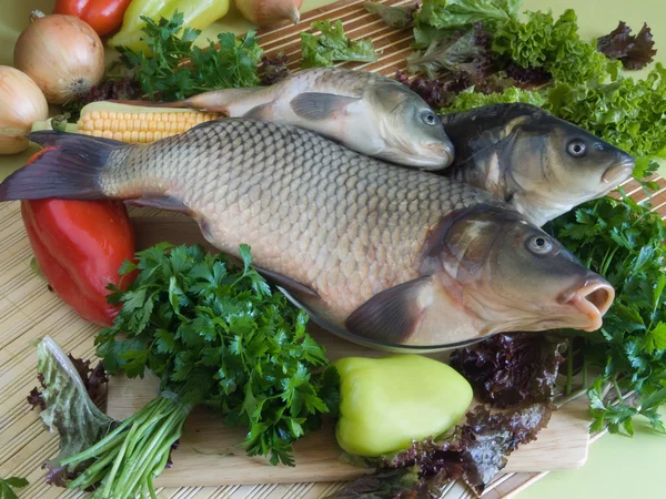 Carp fish — Stock Photo, Image