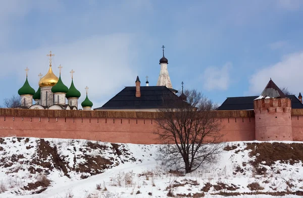 Спасо-Евтимиевский монастырь — стоковое фото