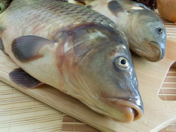 Carp fish close-up on chopping board — Stock Photo, Image