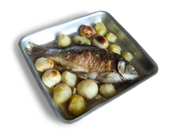 Grilled Carp fish — Stock Photo, Image