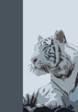 White tiger clipart