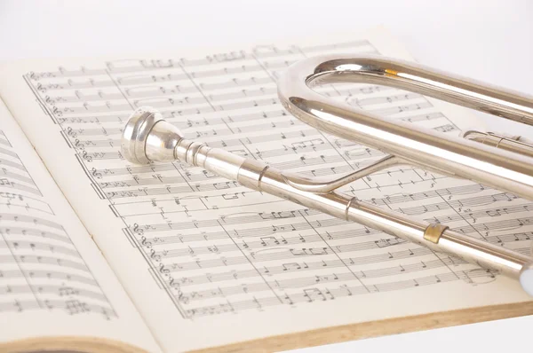 Pipe on a musical notebook — Stock Photo, Image