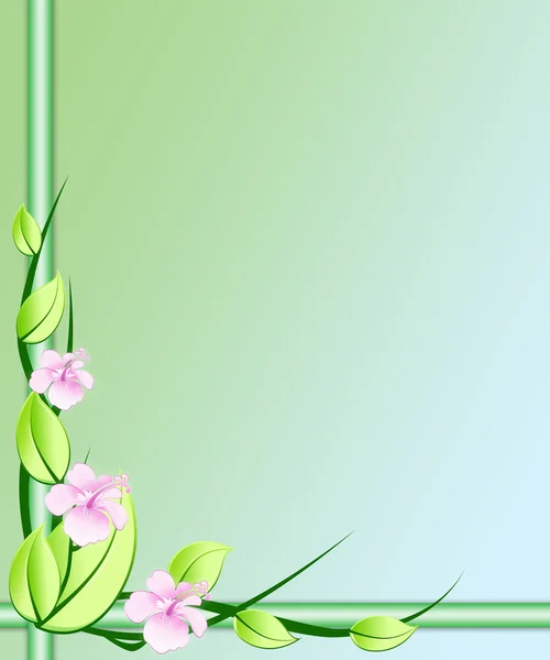Çiçek gül orkide — Stok fotoğraf