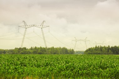 Yüksek voltajlı elektrik ana