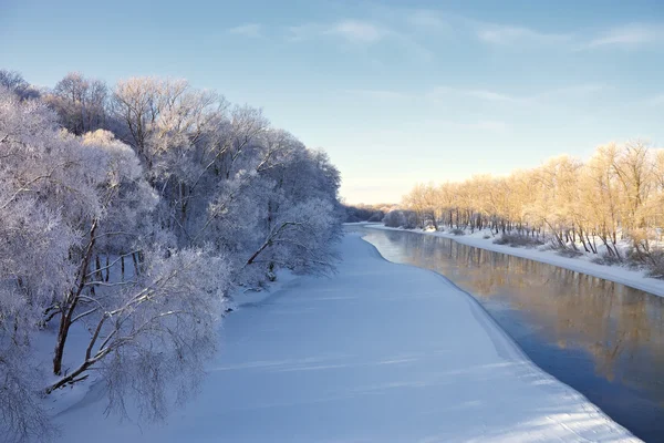 stock image The snow-covered river and trees in hoar