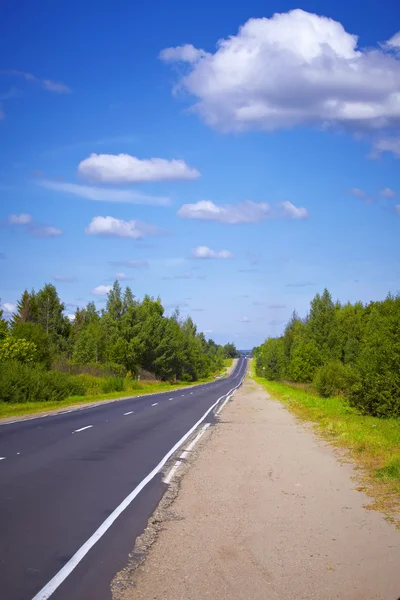 Motorvägen och gröna träd — Stockfoto