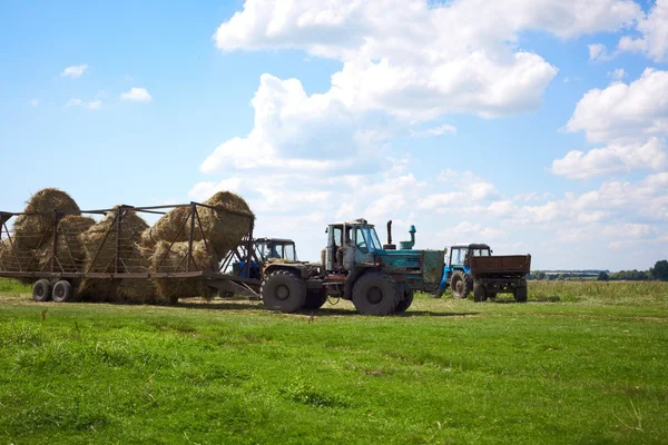 stock image The tractor in the field harvests