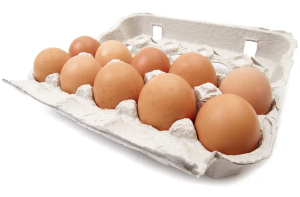 stock image Eggs in carton