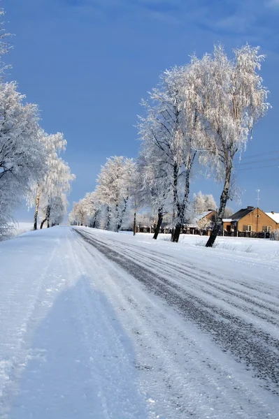 Road in snow — Stock Photo, Image