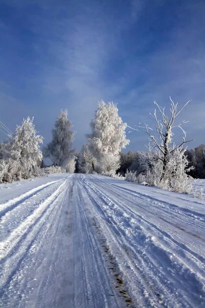 Дорога в снегу — стоковое фото