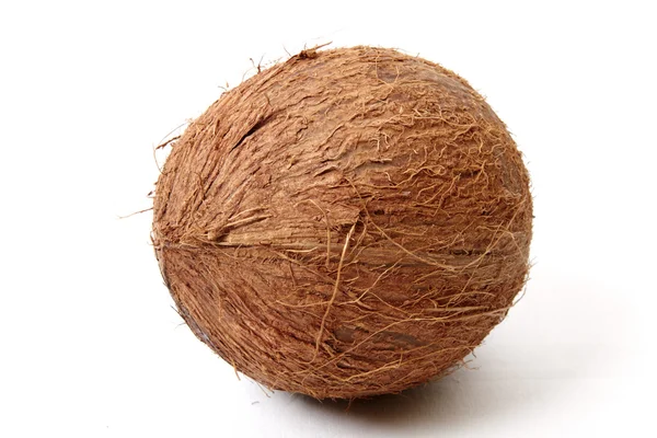 stock image Coconut isolated