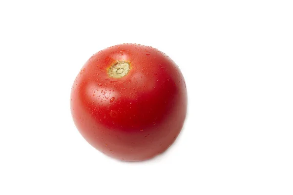 Απομονωμένες ντομάτα — Φωτογραφία Αρχείου