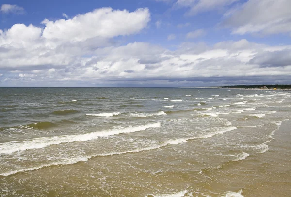 stock image Coast of the Baltic Sea