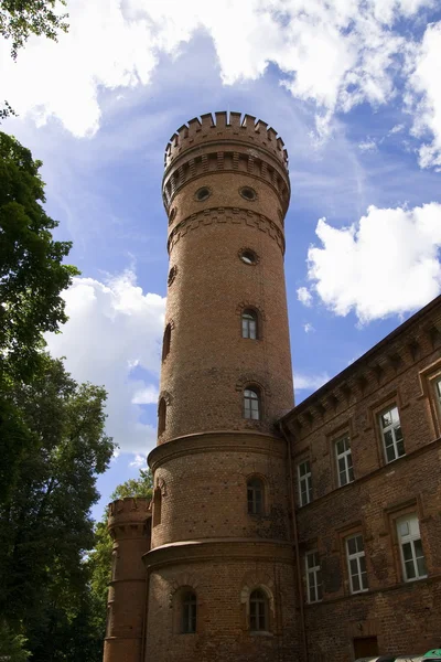 Castelo Raudone — Fotografia de Stock