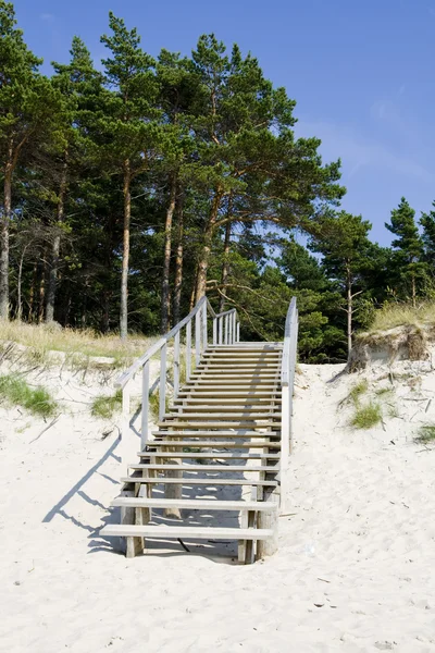 stock image Stairway in the beach in summer