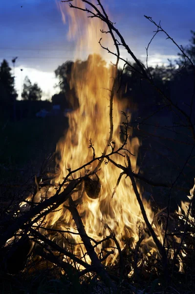 Raging fire — Stock Photo, Image