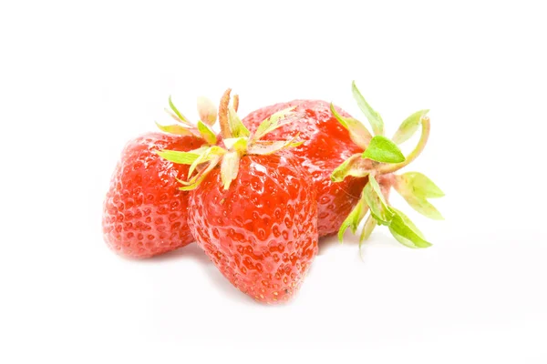 三草莓 — 图库照片