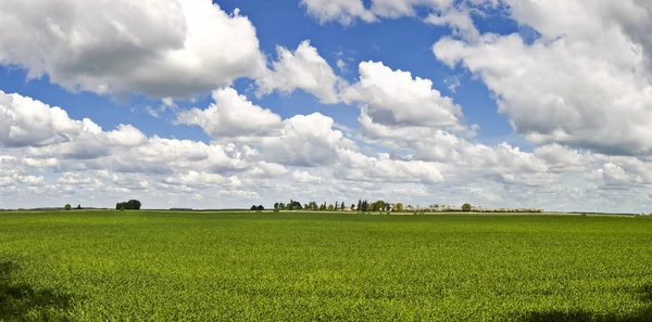 Lithuania landscape panorama — Stock Photo, Image