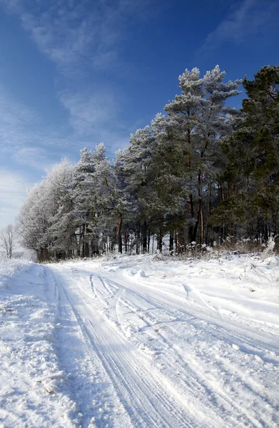 Winterweg — Stockfoto