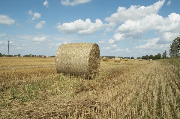 Haycock. End of summer — Stock Photo, Image