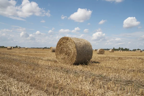 Haycock. End of summer — Stock Photo, Image