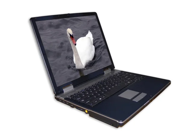 백지 위에 고립 된 노트북 — 스톡 사진