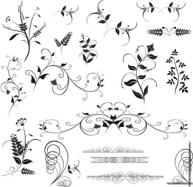 Floral ellements clipart