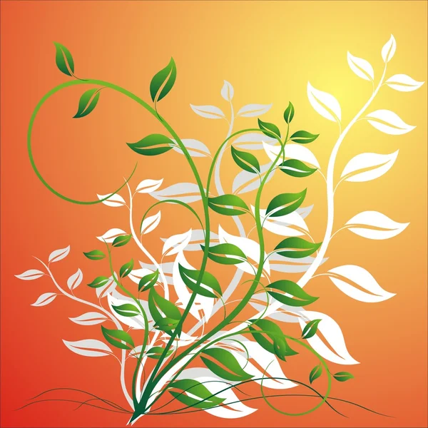 Eléments floraux — Image vectorielle