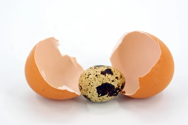 New-laid eggs — Stock Photo, Image