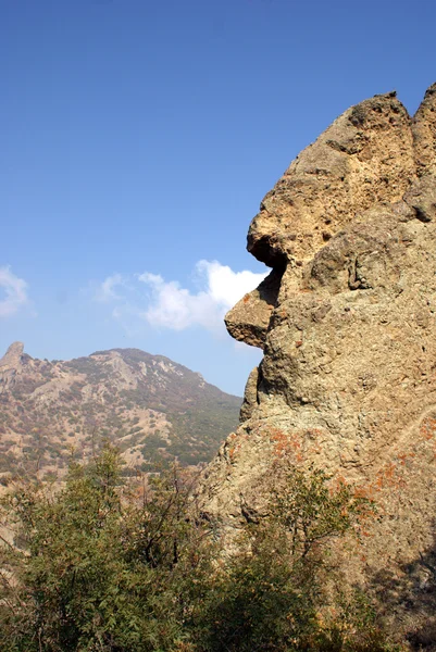 stock image Rock like a man