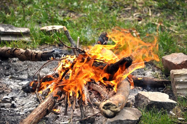 stock image Campfire