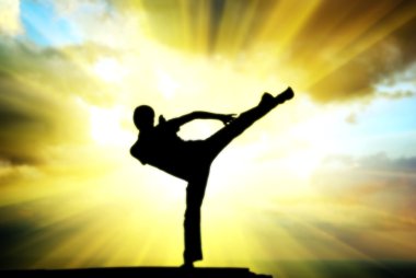 Kung fu at the edge clipart