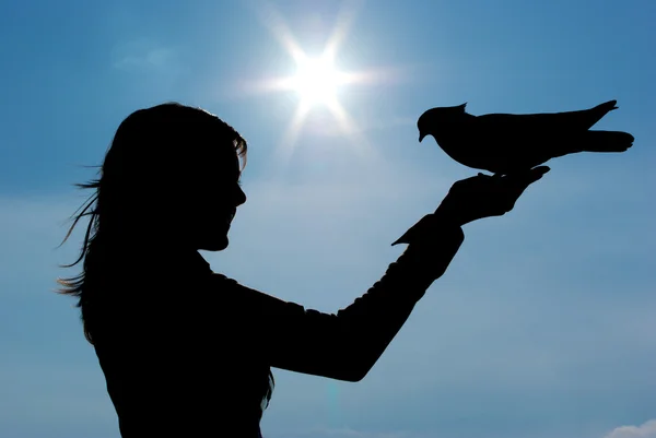 Silhouettes of girl and pigeon — Stock Photo, Image